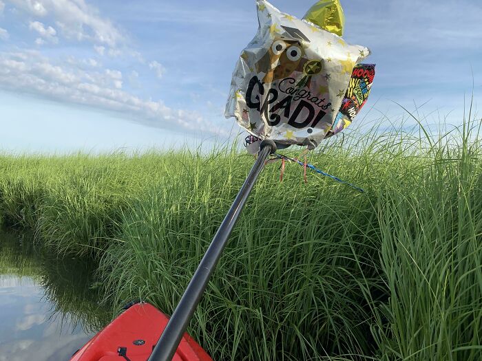 A deflated graduation balloon tangled on a stick in a marsh, symbolizing trash taking over the world.