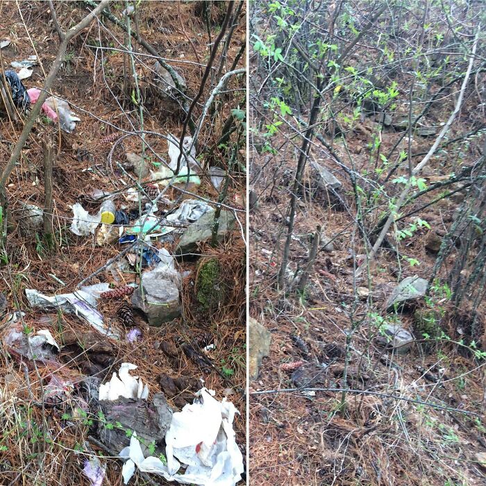 Before and after image showing people cleaning up trash from a wooded area.