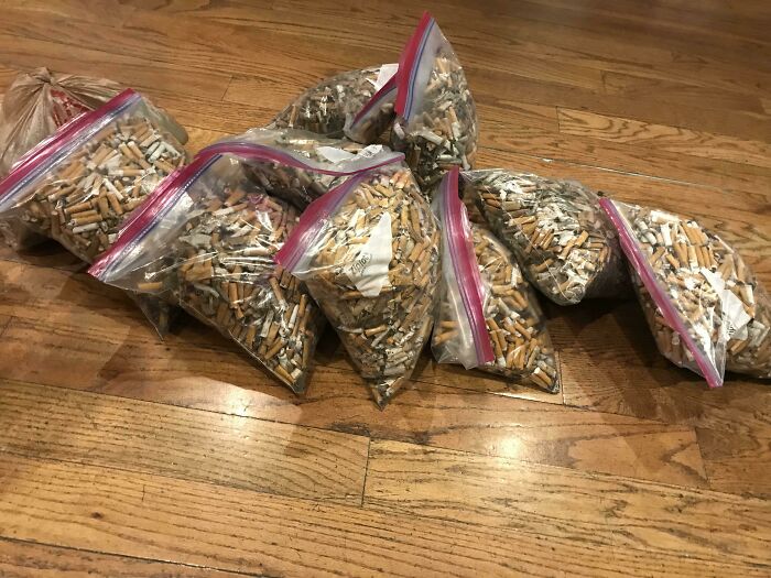 Bags of trash, specifically cigarette butts, collected by people working to clean up the world.