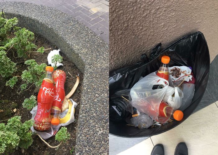 A before-and-after image showing trash on a plant bed and then collected in a trash bag, highlighting the problem of trash.