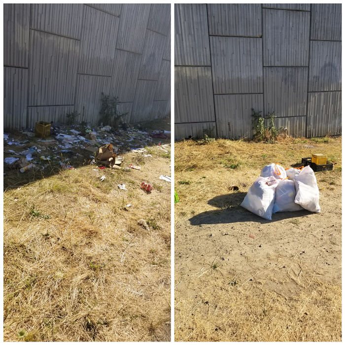 A before-and-after comparison of a littered grassy area and the same spot cleaned up with bags of trash, as trash takes over the world.