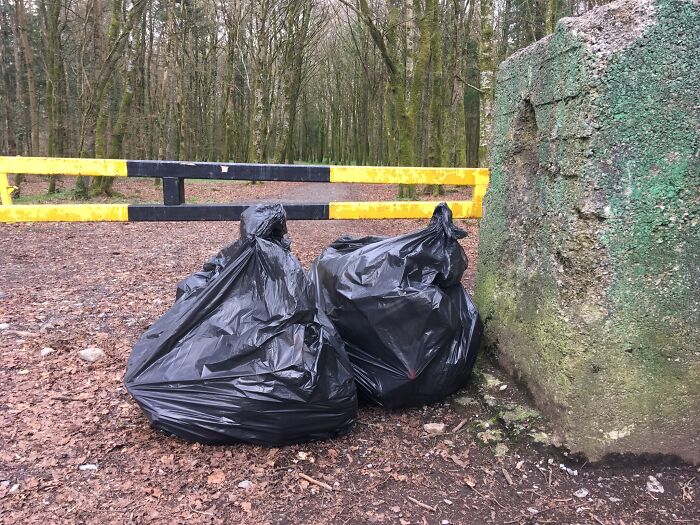 Two black trash bags sit on the ground near a forest entrance, emphasizing the problem of trash and people's impact.