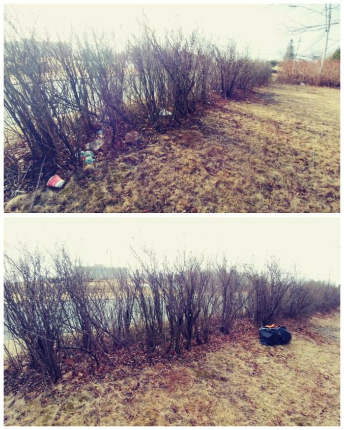 Before and after images of a roadside bush area, showing it cleared of trash. People are taking over the world.