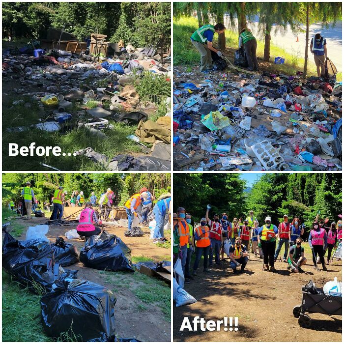 Four-panel image showing a before and after cleanup of trash. Volunteers transformed a trash-filled area.