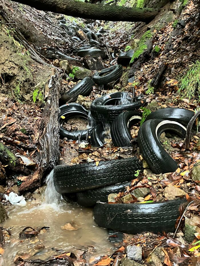 Old tires are discarded in a natural stream, highlighting the problem of trash taking over the world.