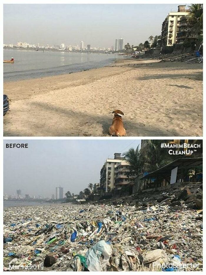 Before and after comparison showing a beach covered in trash and then clean, highlighting the issue of trash.