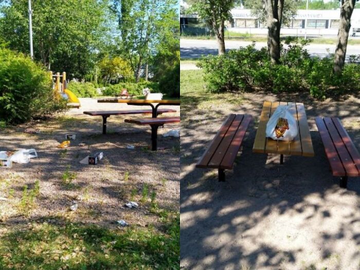 A park scene split into two, showing litter on the ground on one side and a clean park on the other, representing trash.