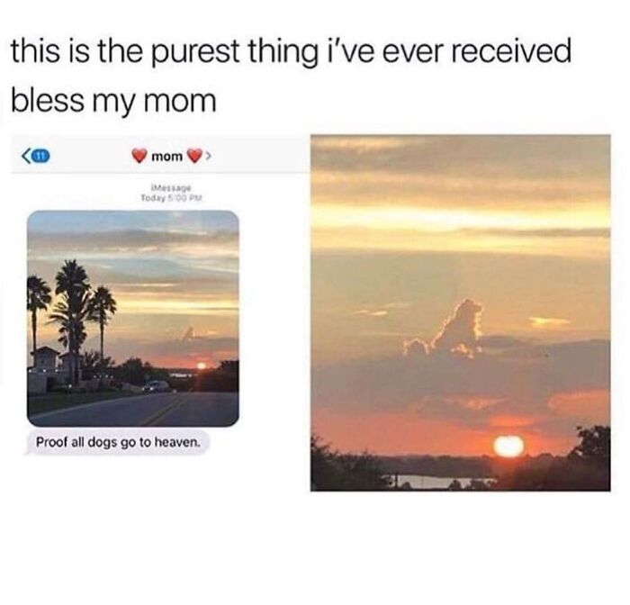 A hilarious meme showing a sunset with dog-shaped clouds, bringing a good mood.