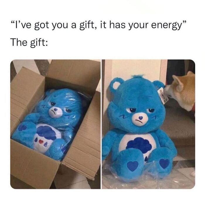 A blue Care Bear plushie in a box, looking grumpy, relating to hilarious memes and a good mood tonight.