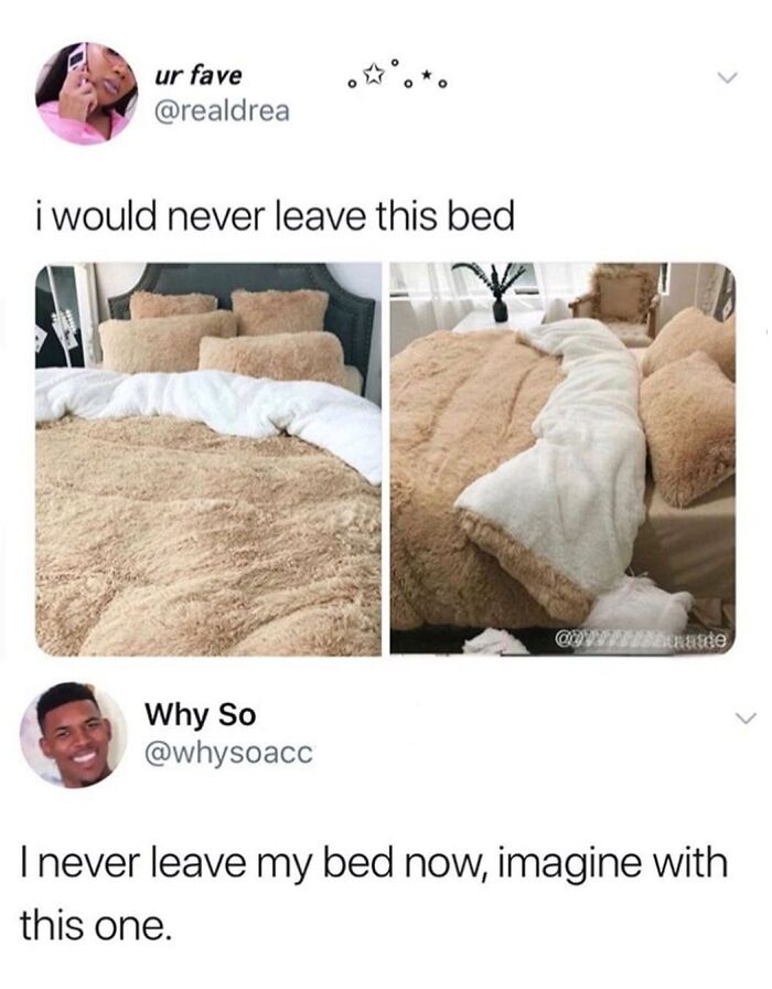 A funny meme showing a person in a cozy bed with a caption about never wanting to leave, highlighting hilarious memes.