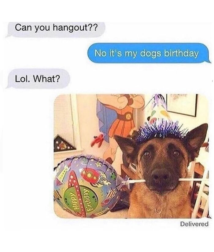 Hilarious meme of a dog wearing a party hat, holding a balloon, to explain why it cant hangout tonight.