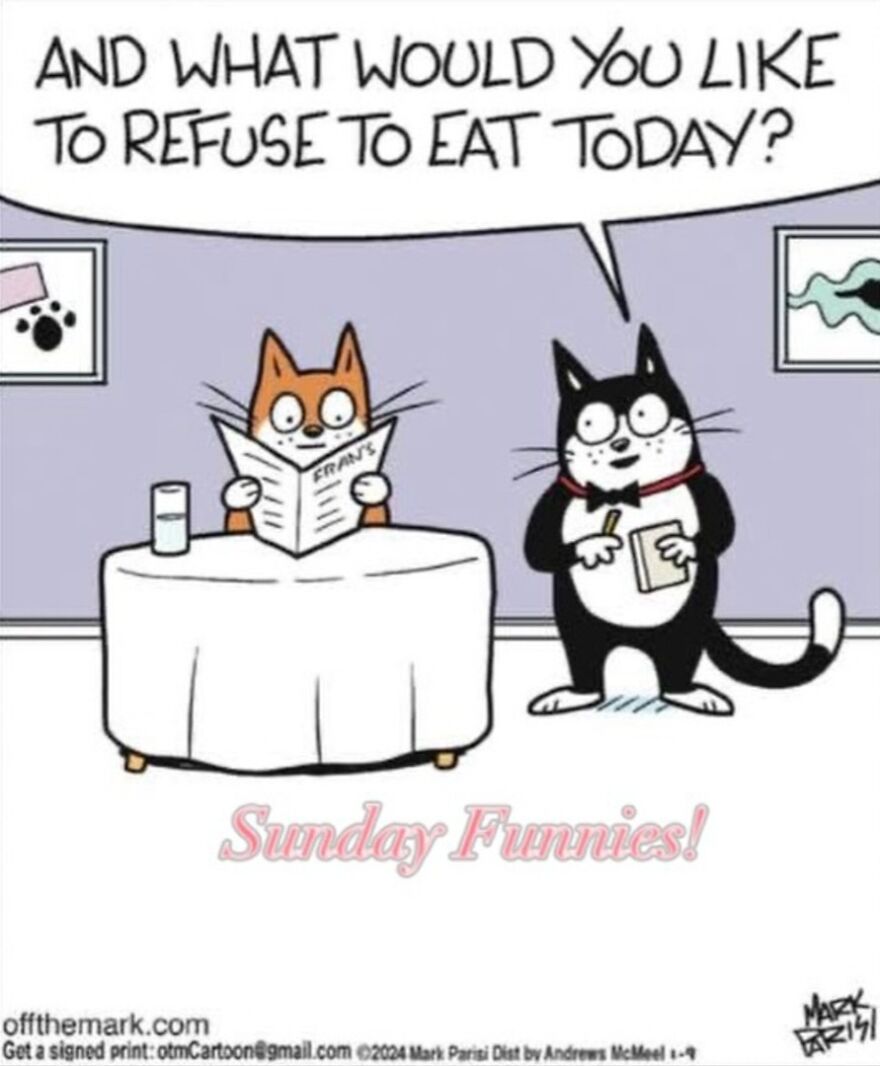 Cats Turn Everyday Chaos Into Comedy In These 36 New Cartoons By Mark Parisi