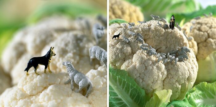 30 More Clever Miniature Worlds Where Everyday Food Becomes A Giant Adventure