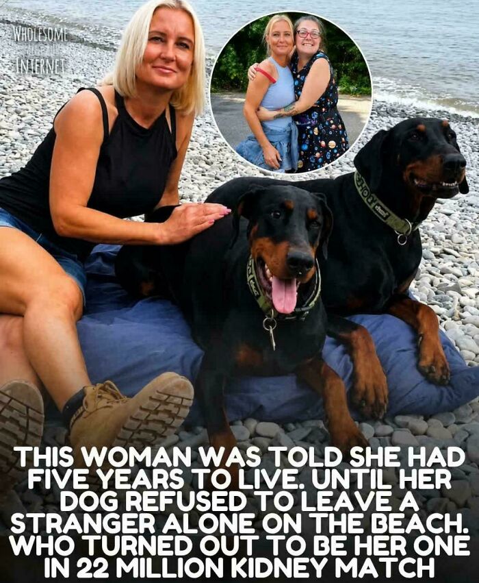 The Dog That Found Its Owner A Lifesaving Match
