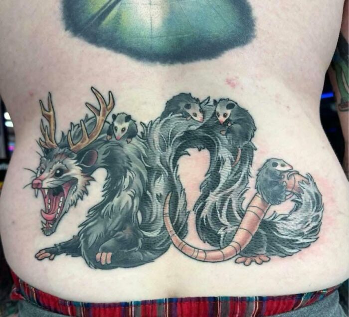 Their Description: Rad Opossum Dragon Champ Stamp