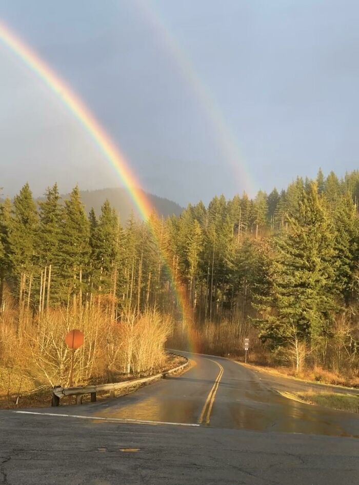 A double rainbow over a winding road surrounded by lush green and autumnal trees, a beautiful and wonderful world scene.