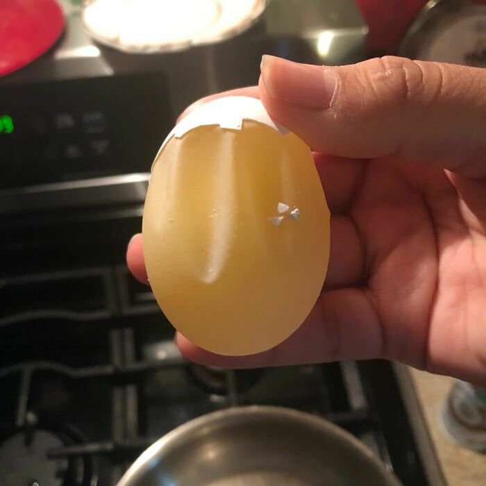 A hand holding a peeled egg with a strange, clear appearance, making the world seem weird and wonderful.
