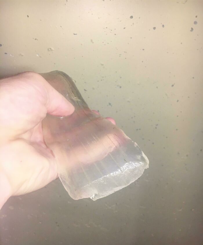 A hand holding a translucent, jelly-like object against a textured background, a weird and wonderful find.