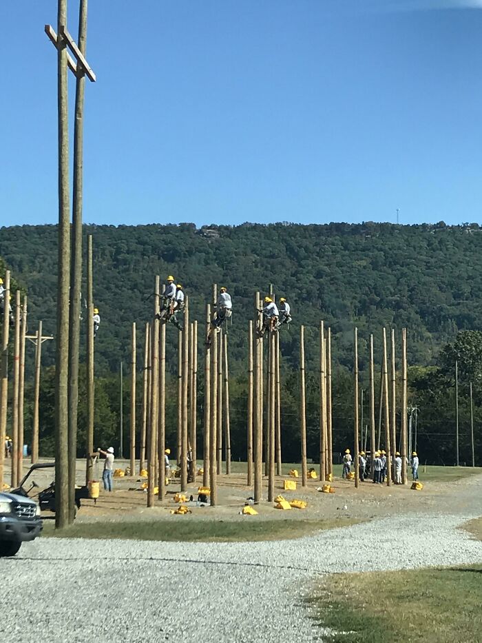 Utility workers in hard hats climbing numerous wooden poles against a backdrop of green hills and a clear blue sky, a wonderful world scene.