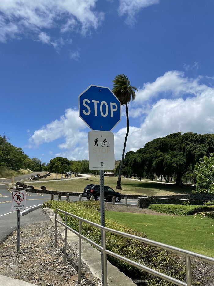 A blue stop sign on a sunny day with a palm tree, green grass, and a car in the background, a wonderful world scene.