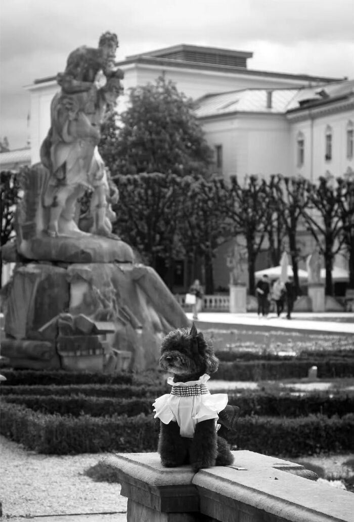 40 Striking Street Photos To Get You Ready For The Pure Street Photography Awards 2027
