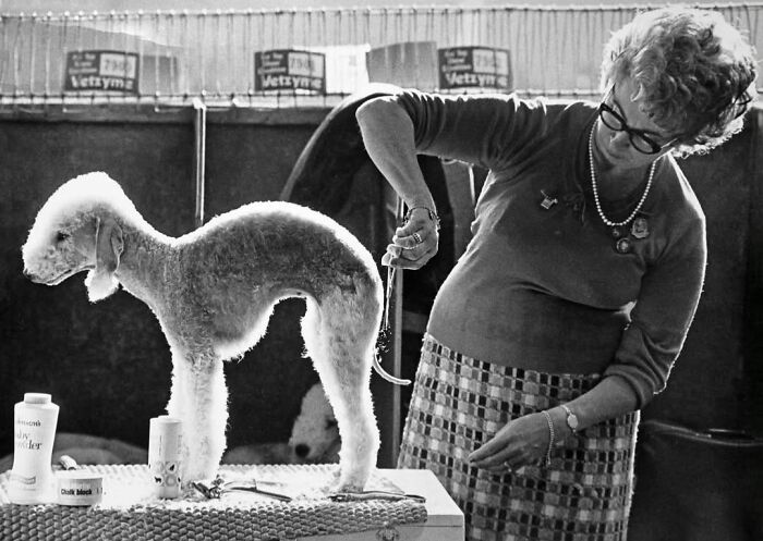 40 Striking Street Photos To Get You Ready For The Pure Street Photography Awards 2027