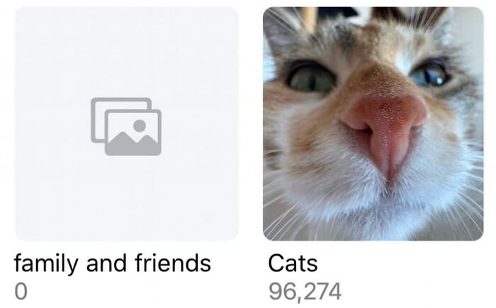 A phone gallery showing 0 photos for family and friends, and 96,274 photos for cats, a cat meme about life with a tiny four-legged menace.