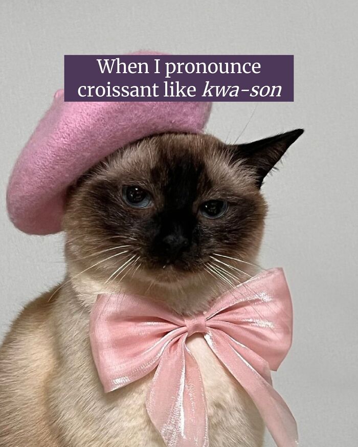 A cat meme featuring a Siamese cat wearing a pink beret and a pink bow, with a caption about pronouncing 'croissant'.