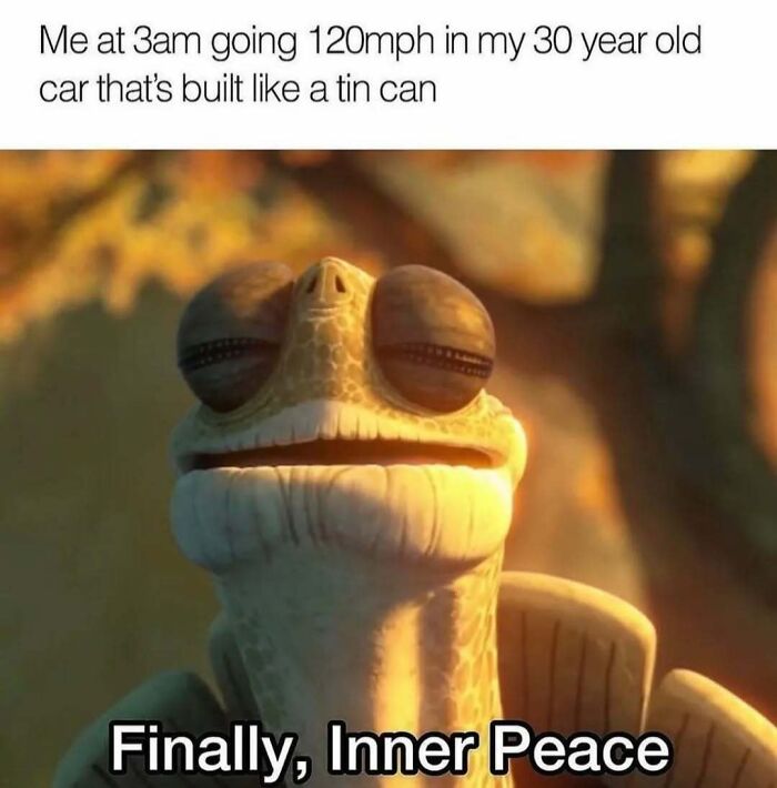 Funny meme showing Master Oogway from Kung Fu Panda finding inner peace while driving an old car fast.