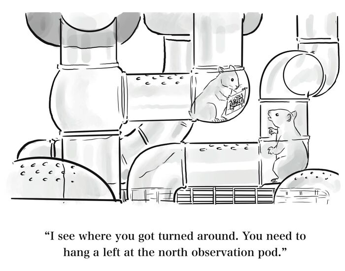 A comic with hamsters in a maze of tubes, one giving directions to another, in a dry humor style.