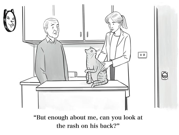 A comic at a vet's office with a man, a vet, and a cat, illustrating dry humor.