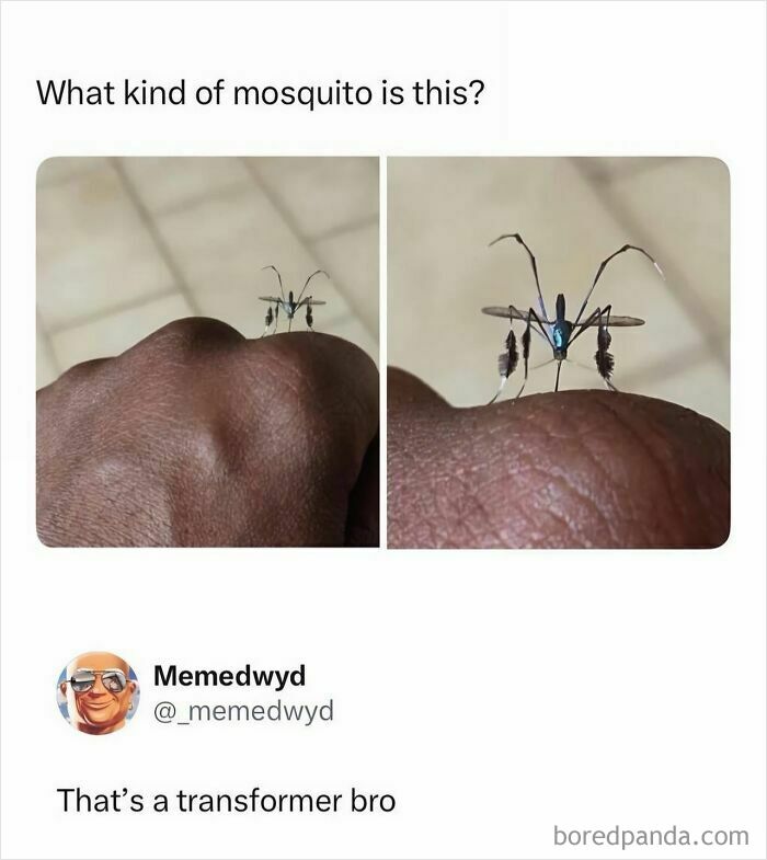 A funny meme from an IG account with a large mosquito on a hand, comparing it to a transformer. Hood Content King memes.