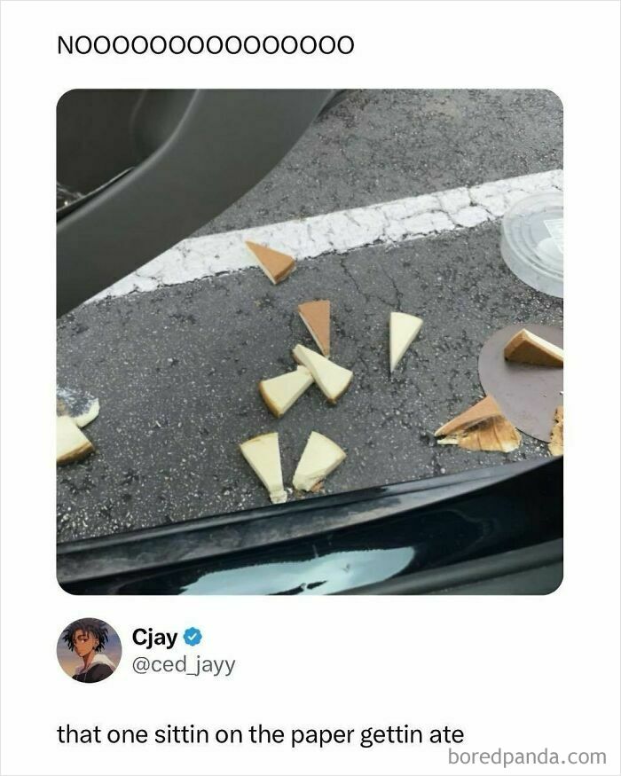 Funny memes of cheesecake slices scattered on the ground, with one slice still on paper.