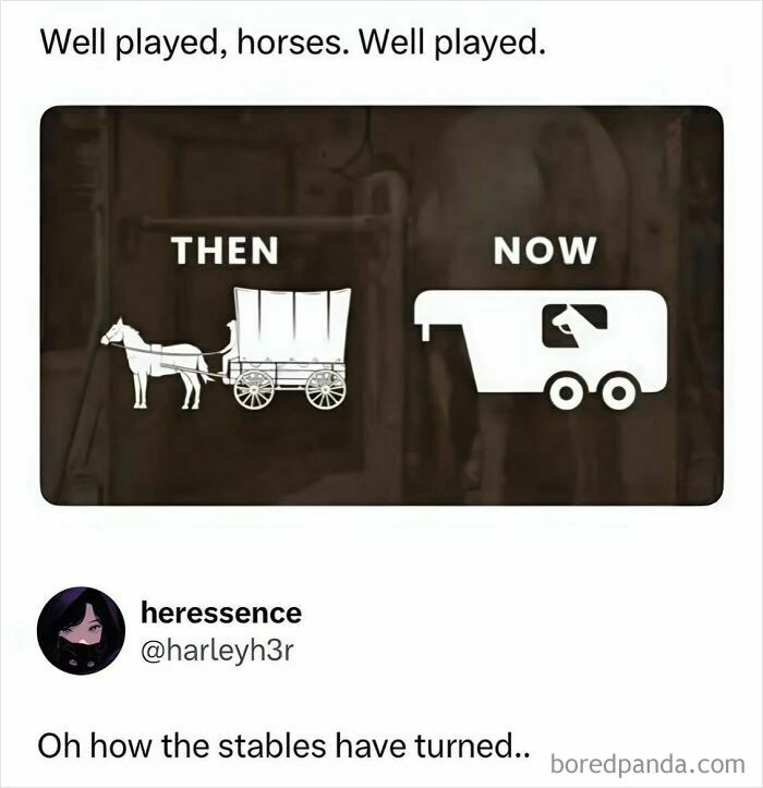 Funny memes: A side-by-side image of a horse pulling a cart 'then' and a horse inside a trailer 'now'.