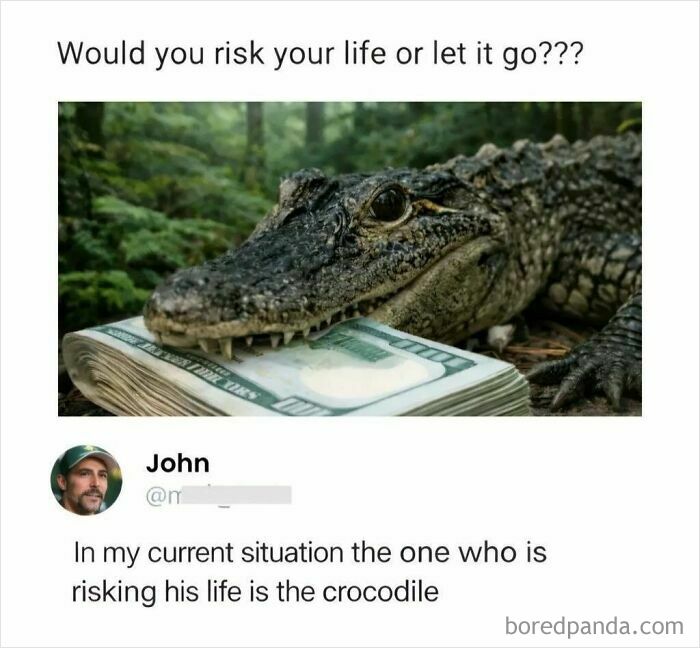 Funny memes from IG account present a crocodile with a stack of money in its mouth, posing a humorous dilemma.