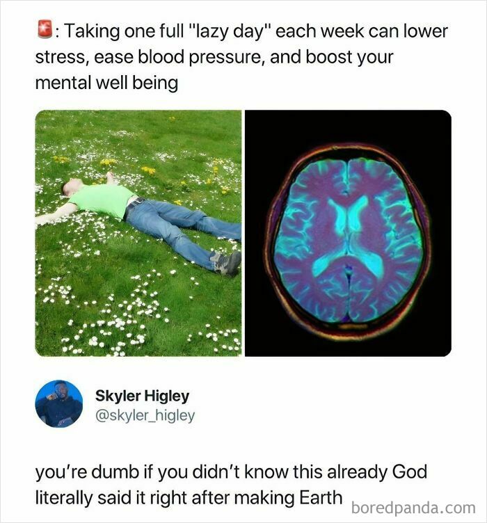 A person lying in a field and a brain scan; a funny meme from Hood Content King.