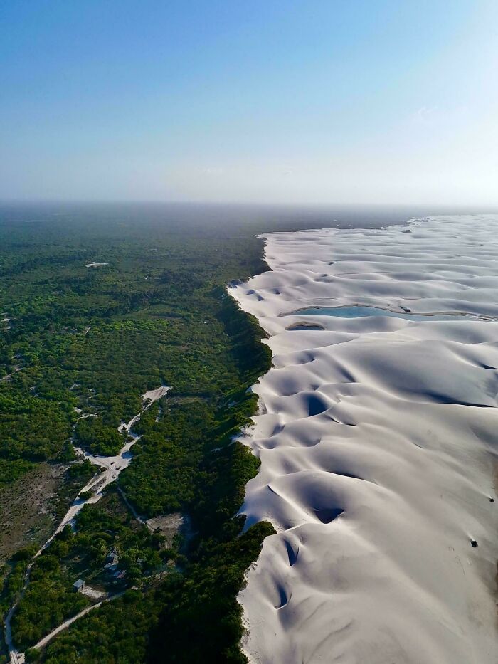 An aerial view showing a stark contrast between a vibrant green forest and expansive white sand dunes, a weird and wonderful natural landscape.