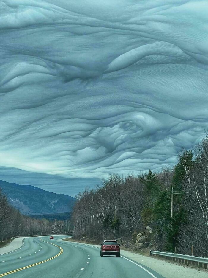 A winding road through a forest under an amazing sky with bizarre, undulating cloud formations, showing the weird and wonderful world.