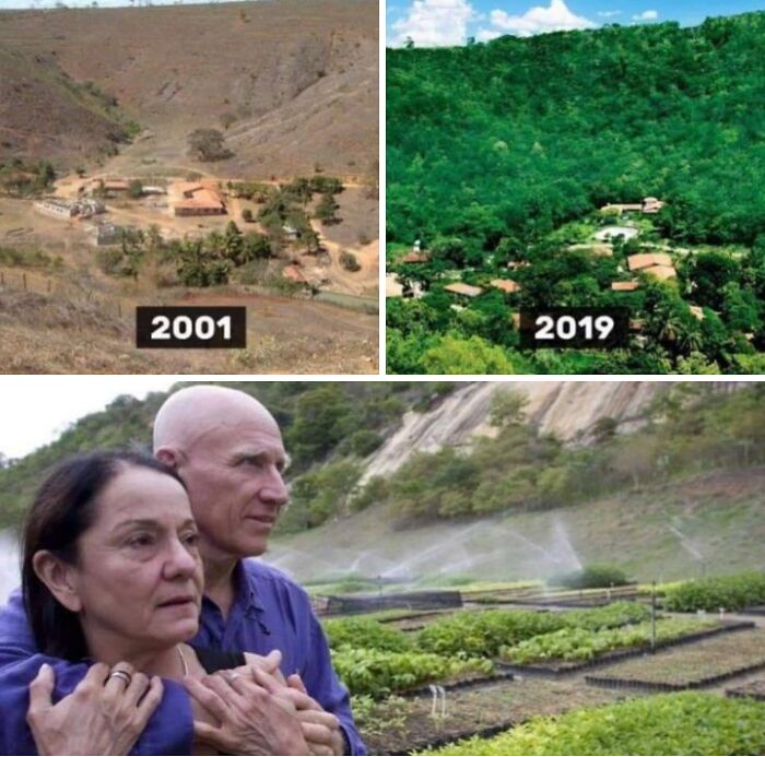 A triptych showing a barren landscape transform into a lush forest and a couple overseeing a plant nursery, a wonderful transformation.