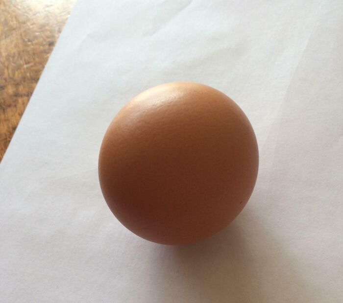 A perfectly spherical brown egg rests on white paper, a wonderfully weird anomaly in nature's design.