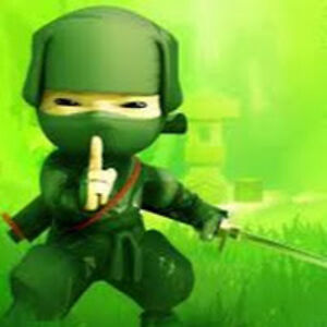 vgnvideogameninja avatar