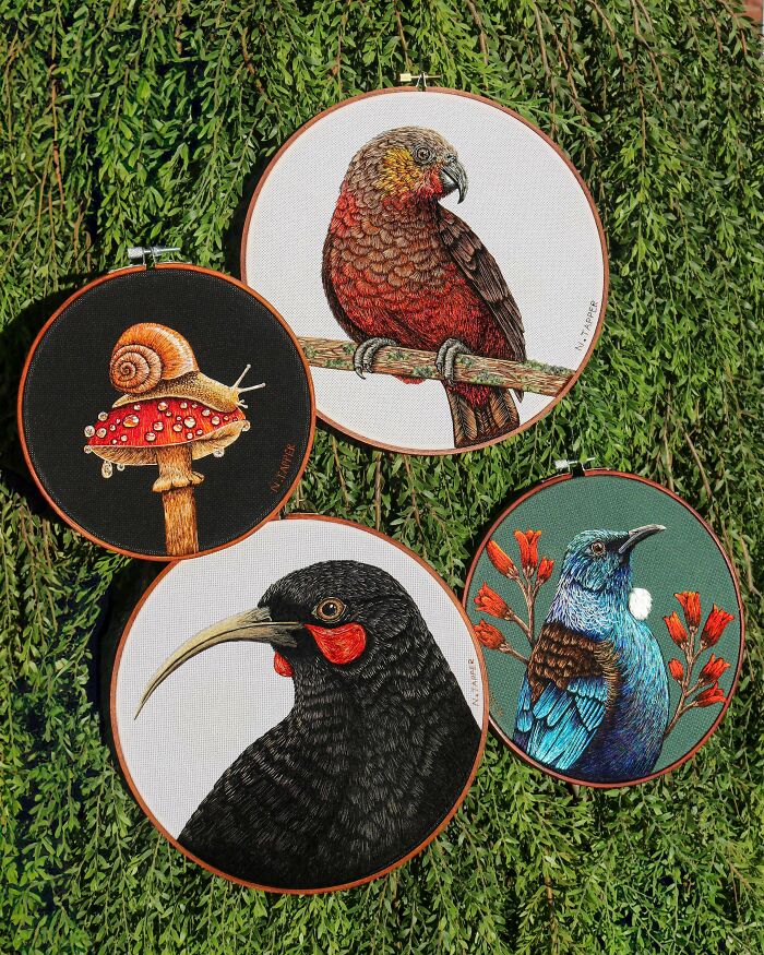 Nature-themed embroidery projects of colorful birds and a snail on a mushroom displayed in hoops
