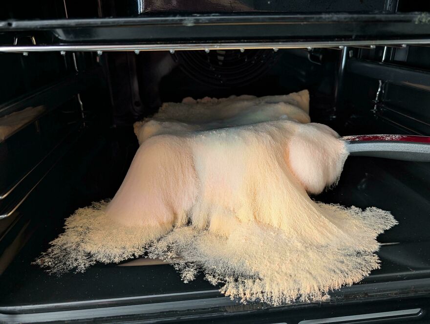 Melted food in an oven, a funny unfortunate cooking fail.