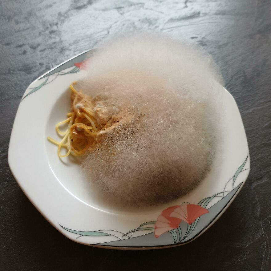 A plate of spaghetti covered in white mold, a funny unfortunate regret or fail.