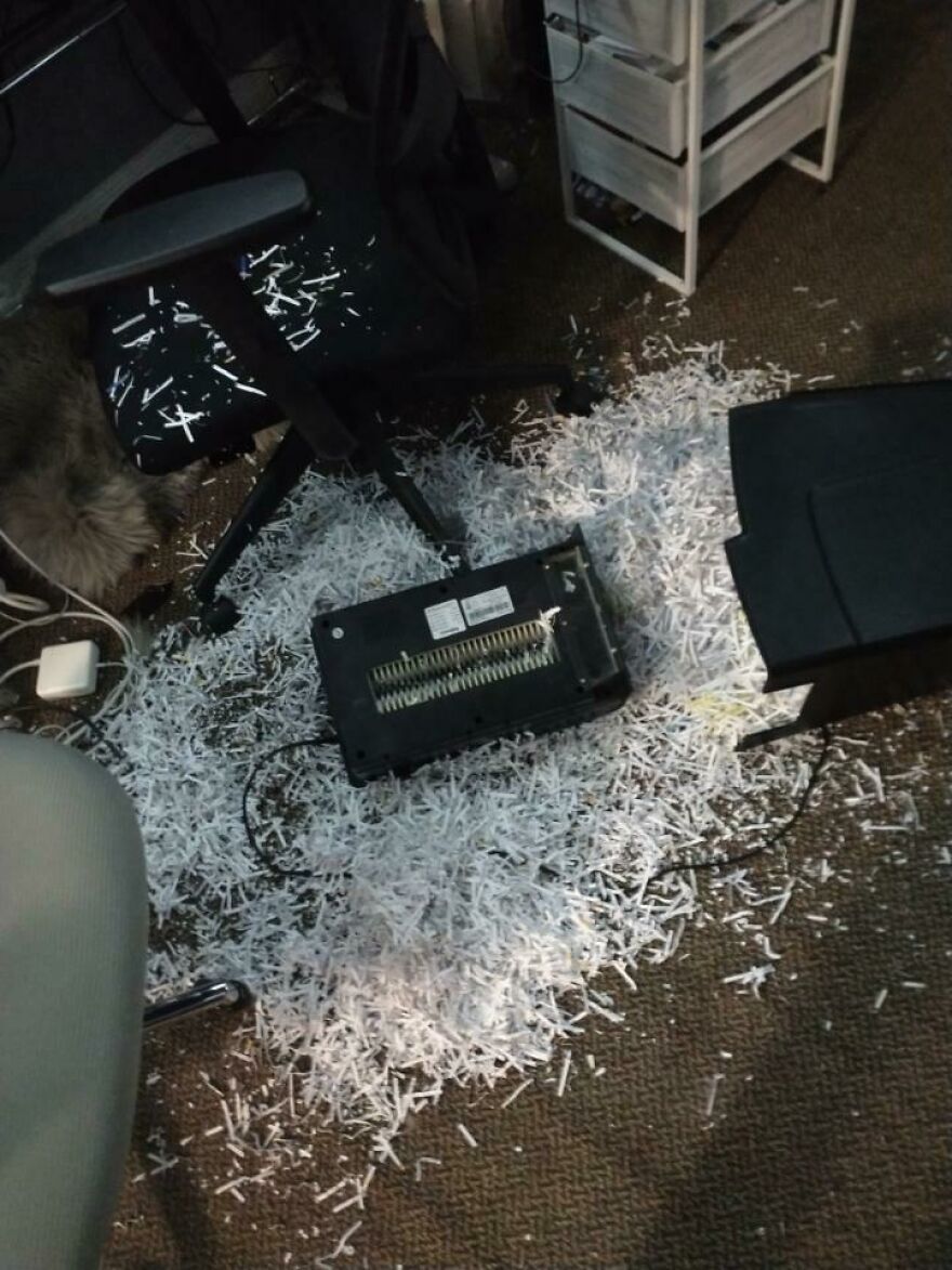 An office floor is covered in funny unfortunate regrets fails: shredded paper surrounds an overturned paper shredder and an office chair.