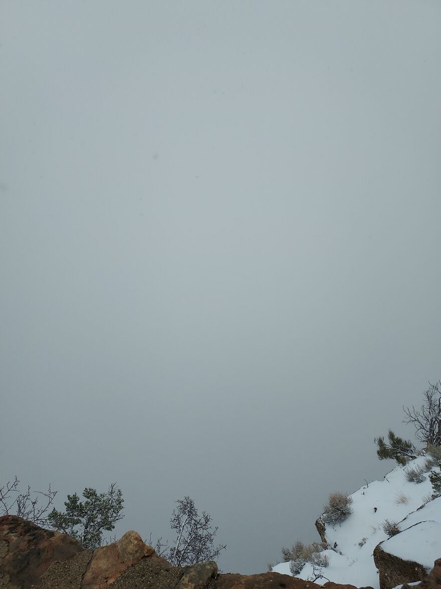 A funny unfortunate regrets fails scene of a foggy, overcast sky dominates, with snow-covered rocks and bare trees at the bottom.
