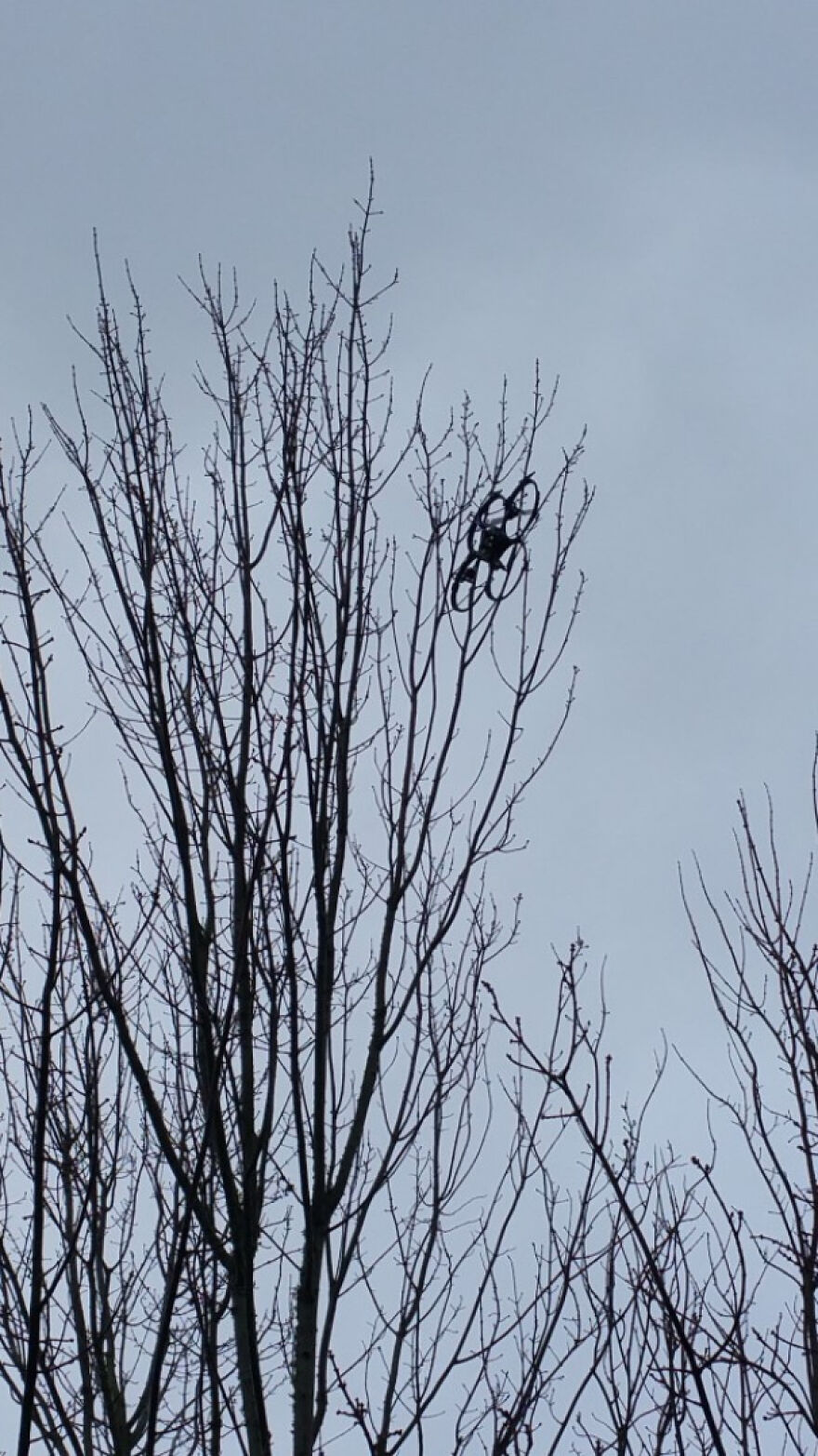 A black drone is stuck high in a bare tree against a cloudy sky, illustrating a side hustle gone awry.