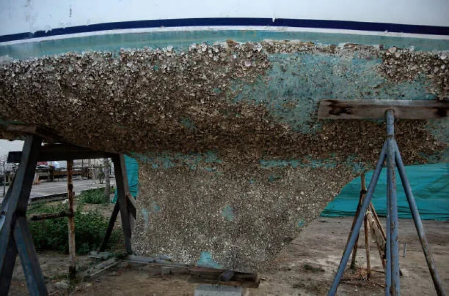 A boat hull covered in barnacles, an example of a weird side hustle for making extra dough.