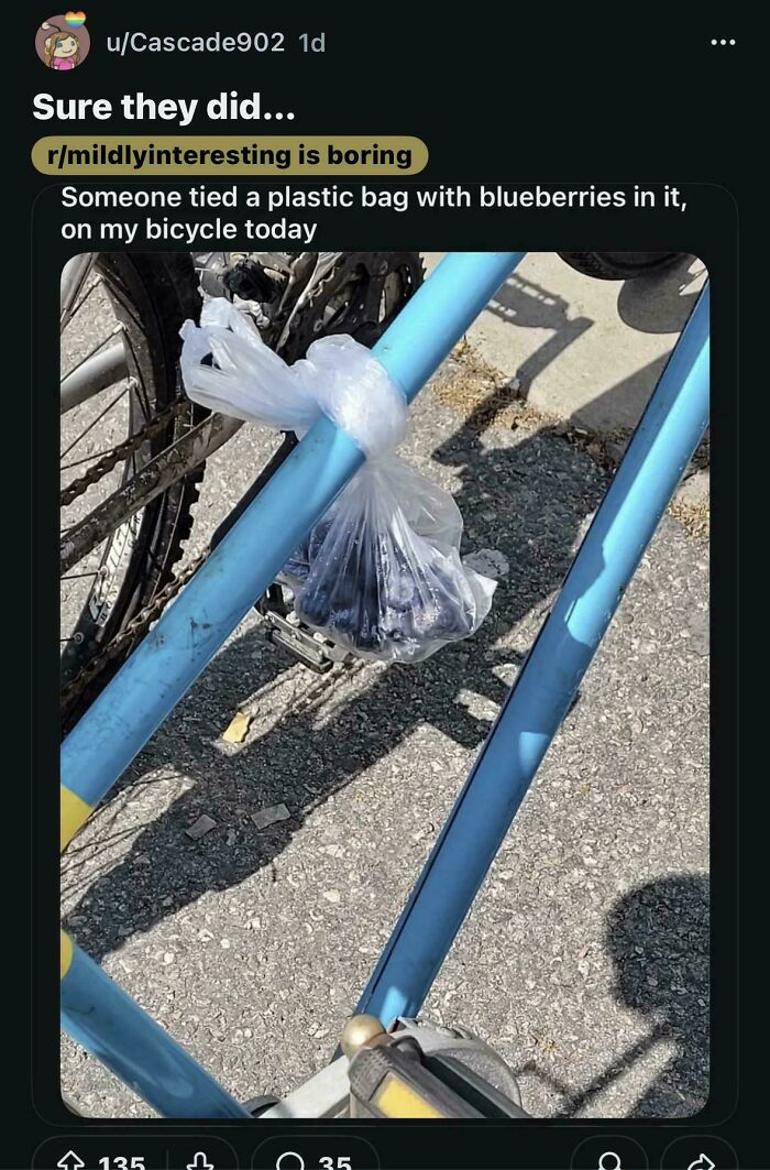 A Reddit post showing a plastic bag of blueberries tied to a bicycle, with the title Sure they did..., implying someone is lying.
