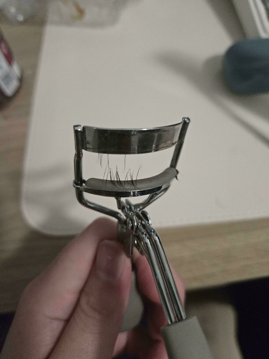 An eyelash curler with several eyelashes stuck in it, a funny unfortunate beauty fail.